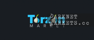 torzon market logo